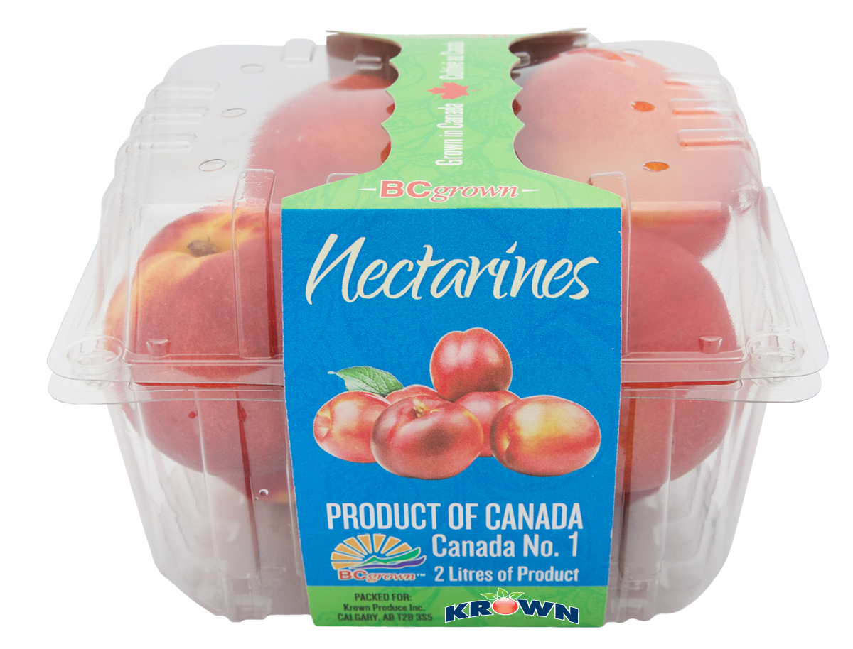 Nectarine Clam