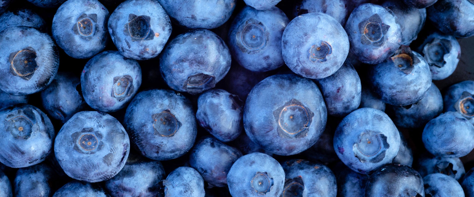 Blueberries-Product