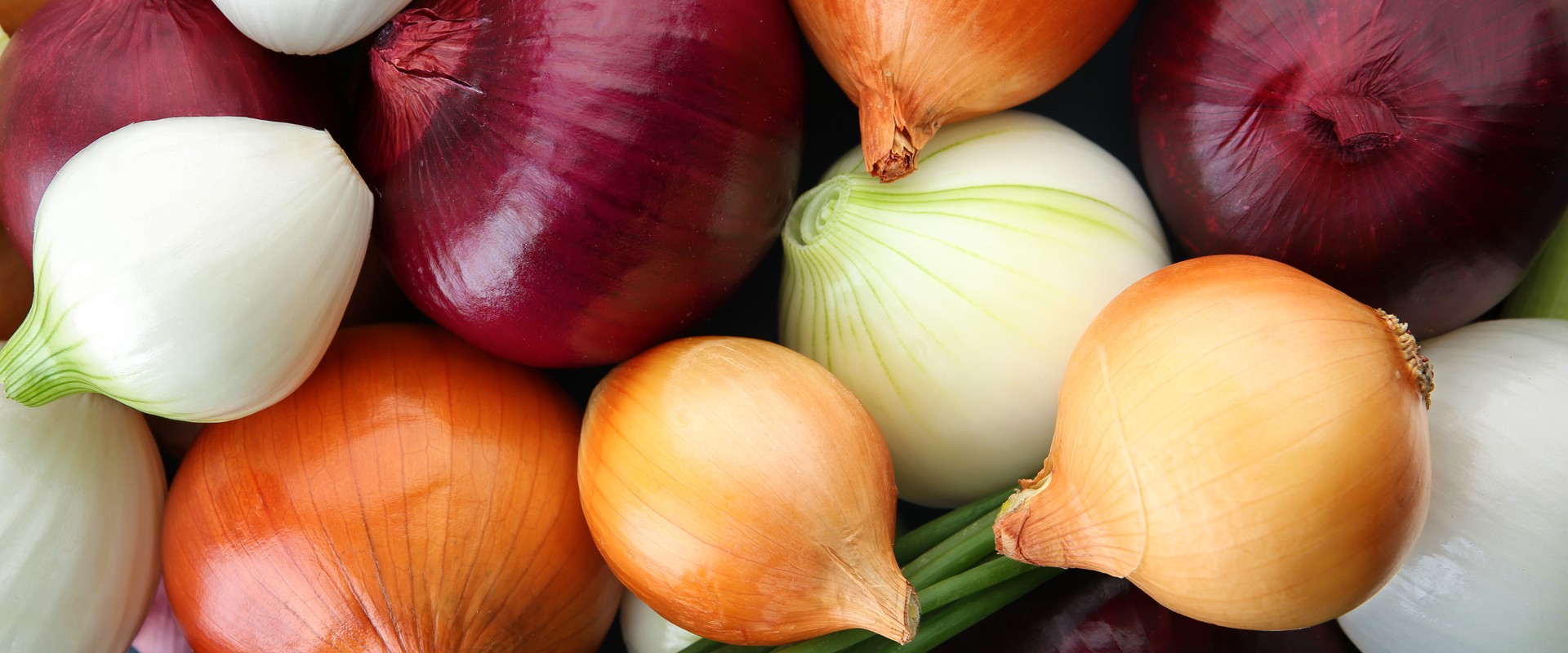 Tri-Coloured-Onion-Product-Banner