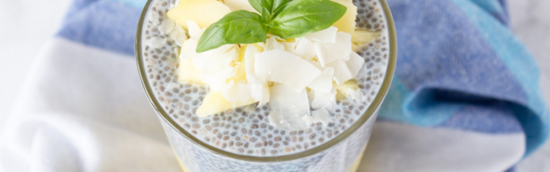 Pineapple Coconut Chia Pudding Banner 2