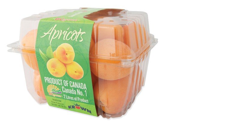 BC Apricot Banner l
