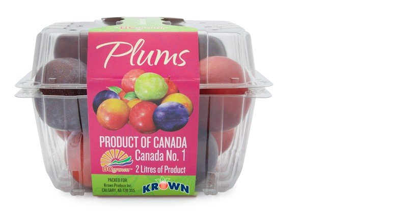 BC Plums l