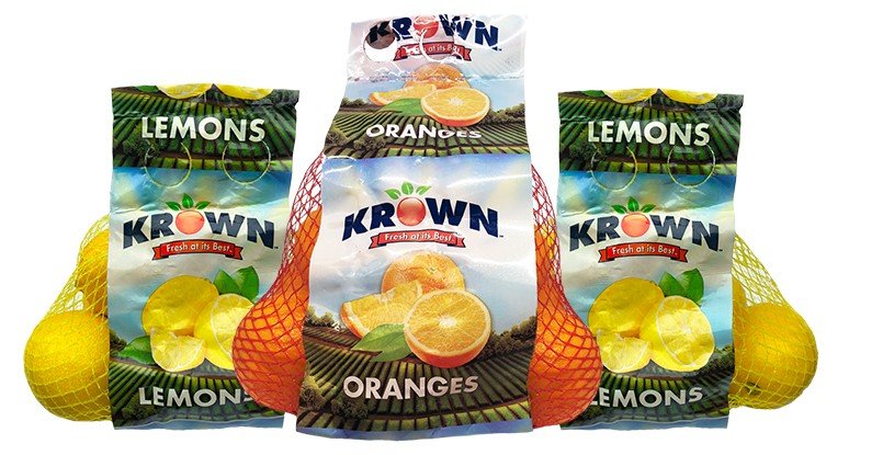 Orange Lemon News Image 2 l